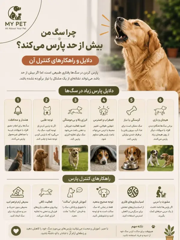 این تصویر یک اینفوگرافیک آموزشی درباره دلایل پارس بیش از حد سگ و راهکارهای کنترل آن است. در بخش بالای تصویر، یک سگ گلدن رتریور در حال پارس کردن دیده می‌شود. در ادامه، مهم‌ترین دلایل پارس کردن مانند هشدار، جلب توجه، کمبود فعالیت، اضطراب، گرسنگی و هیجان، همراه با آیکون‌ها و تصاویر کوچک توضیح داده شده‌اند. در بخش پایینی نیز راهکارهایی مانند افزایش فعالیت روزانه، آموزش با تشویق، ایجاد محیط آرام، استفاده از اسباب‌بازی‌های فکری و مراجعه به مربی یا دامپزشک ارائه شده است. لوگوی MY PET در گوشه بالا سمت چپ قرار دارد و طراحی با رنگ‌های کرم و زیتونی، بر آموزش صحیح رفتار سگ و نگهداری مسئولانه تأکید می‌کند.